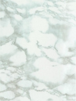Hongda82101