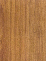 Hondna_80551