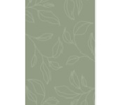 SOFT_J952A_green_green