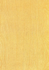 Hongda_8005.png1