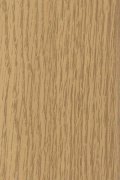 1314962062_dub-svetlyy