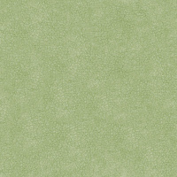 viniliskoja_olive1