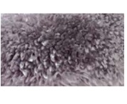 SHER PC00A LILAC_LILAC