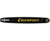 champion1572220adadmitadcomadadmitadcom952912_2127204
