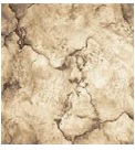 p2484b2r_103