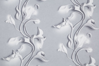 CAT_MACRO_PHOTOqI_HC72275-14_(1)