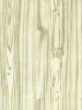 Hongda_-80341