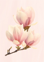 VKZ_dekor_Agata_roz1